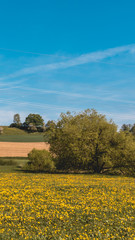 Smartphone HD wallpaper of beautiful view near Arnstorf - Bavaria - Germany