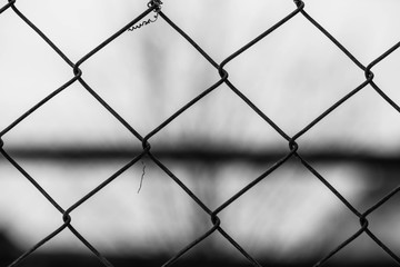 Garden wire fence close up macro shot at correctional institute in black and white.