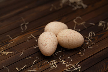 Group of three fresh turkey eggs on a wooden table