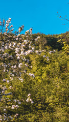 Smartphone HD wallpaper of beautiful view near Bergen - Bavaria - Germany