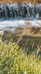 Smartphone HD wallpaper of beautiful view near Bergen - Bavaria - Germany