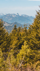 Smartphone HD wallpaper of beautiful alpine view on the Hochfelln - Bergen - Bavaria - Germany