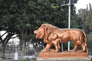 Naklejka na ściany i meble statue of a lion
