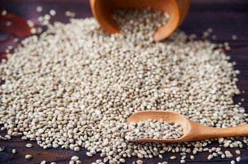 Heap of hemp seeds