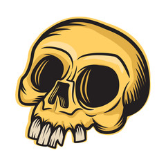 Skull mascot. Vector illustration of skull in Mexican style.