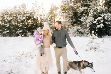 Fototapeta premium A happy young family with a small child is preparing for Christmas, walking with a husky dog on the background of a retro car, on the roof of a Christmas tree and gifts in the winter snowy forest.
