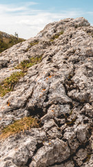 Smartphone HD wallpaper of beautiful alpine view on the Hochfelln - Bergen - Bavaria - Germany