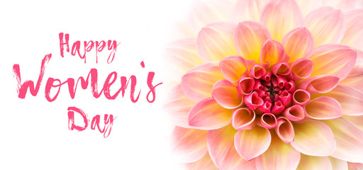 Happy Women’s Day text message lettering and pink, yellow and white fresh dahlia flower macro photo isolated against white background banner wide card format.