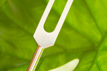 Hand holding a tuning fork .