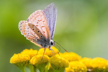 missing summer already