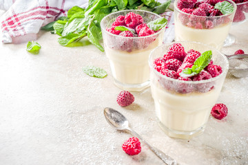 Homemade summer sweet dessert in glass, panna cotta with raspberry, diet light snack, light stone concrete background copy space