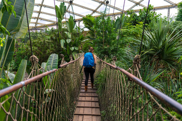 Girl with a backpack walking over a suspension bridge in the jungle