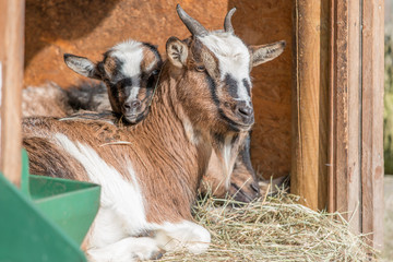 mommy it's too hot to go outside today...