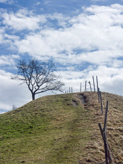 Obraz premium Landschaft bei Murnau