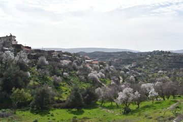 Obraz premium panoramic view of a village in spring