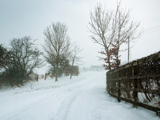 Road Through The Snow