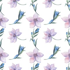 Fototapeta na wymiar Floral pattern in watercolor style. Beautiful seamless pattern with blackberries, flowers and gentian. Can be used as a background template for Wallpaper, printing on fabrics.
