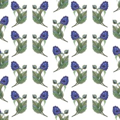 Floral pattern in watercolor style. Beautiful seamless pattern with blackberries, flowers and gentian. Can be used as a background template for Wallpaper, printing on fabrics.