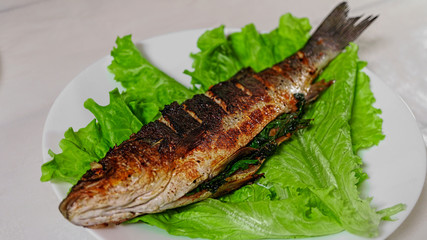  sea bass, Grilled sea bass, food, fish, dinner