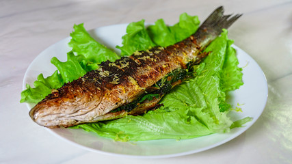  sea bass, Grilled sea bass, food, fish, dinner
