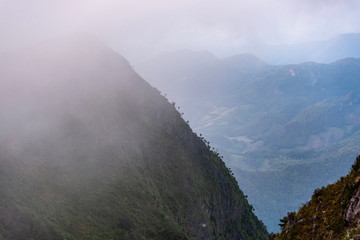 Fog cover on dark green valley on high mountain at Doi Luang Chiang Dao, Chiangmai, Thailand.