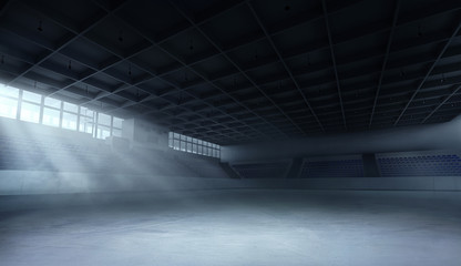 3d ice arena