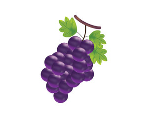 bunch of red grapes isolated on white background