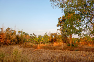 Fototapeta premium Natural landscape