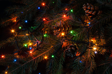 Obraz na płótnie Canvas Christmas tree branch and lights