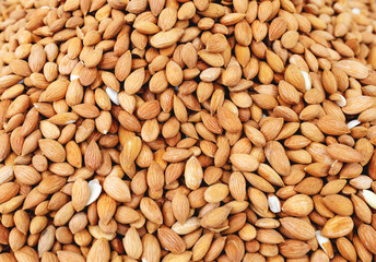 Raw fresh almond, background