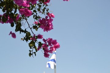 Israeli National flag waving at Mount of Olive in Jerusalem, Israel with colorful tree leaves in front