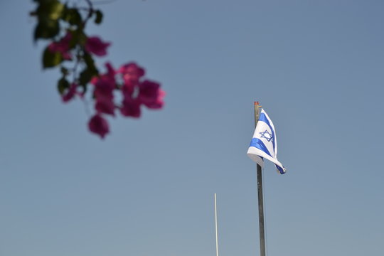 Israeli National flag waving at Mount of Olive in Jerusalem, Israel with colorful tree leaves in front