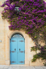 Fototapeta na wymiar Doors of ancinet house and purple flowers on wall