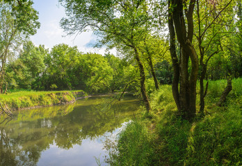 Fototapeta na wymiar View of the Krynka river in Donbass