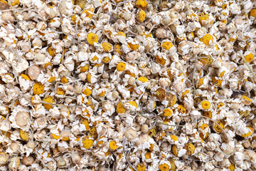 Dry yellow camomile tea texture for pattern 