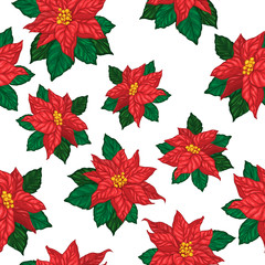 Seamless pattern of poinsettia flowers, berries and leafs. Vector illustration of winter flowers and elements isolated on white background.