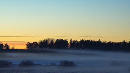 Fototapeta na wymiar Foggy snowy landscape and orange sky.