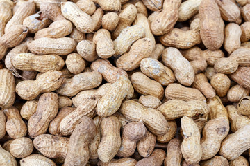 peanuts in shell