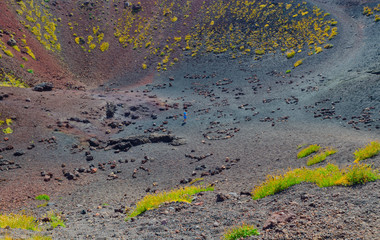 Particular view of the inner part of the Silvestri crater, an eruptive mouth whose formation dates...