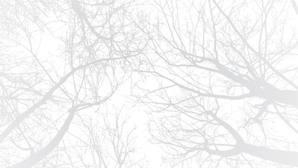 Abstract white grunge background with tree brunch silhouette. Vector Illustration.