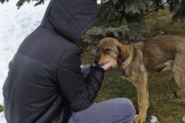 A boy who loves a stray dog