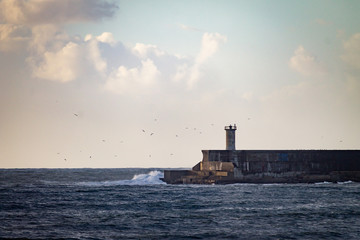 Fototapeta na wymiar Seagulls Fly around Lighthouse