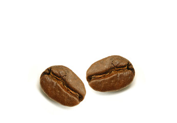 Closed Up a Pair of Roasted Arabica Coffee Beans Isolated on White Background 