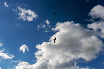blue sky with clouds