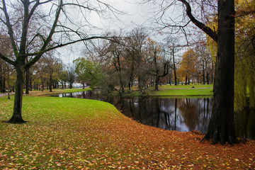 autumn in the park - 240996626
