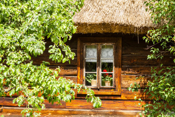 Fototapeta na wymiar Wooden window and flower. Blooming flowers on window. Old wooden home. 