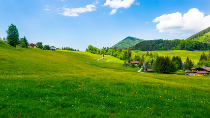 Landschaft im Salzburger Land, Österreich, im Sommer