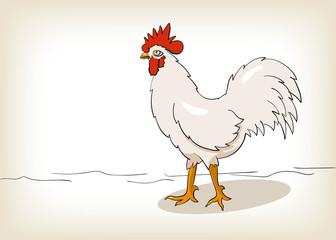 weißer hahn stolziert illustration