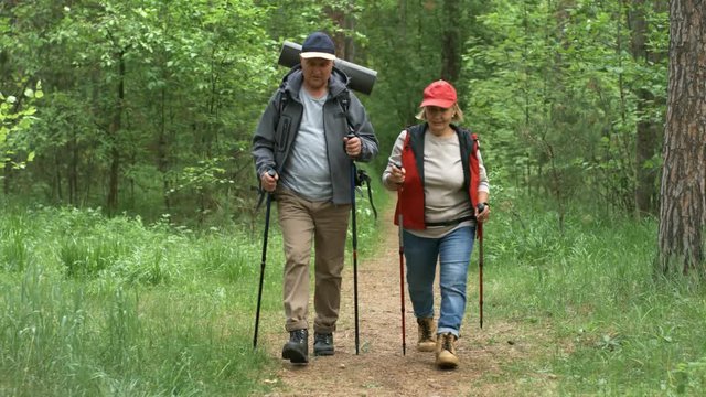 Dolly shot of elderly couple with backpacks and trekking poles chatting and walking along path in green forest on summer day