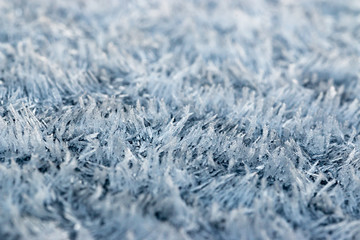 frost is coming